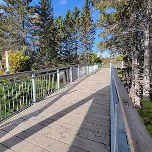 Zoo Sauvage 10/22 - Eastern Asia, boardwalk between pandas