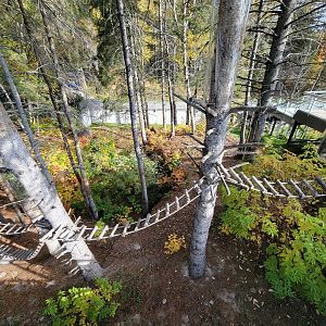 Zoo Sauvage 10/22 - Eastern Asia, red panda exhibit #2