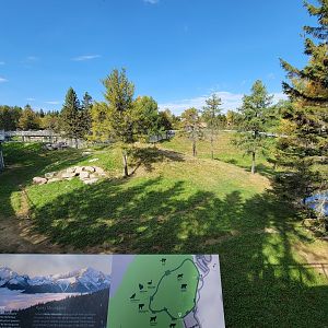 Zoo Sauvage 10/22 - Rocky Mountains, brown bear and bobcat exhibit