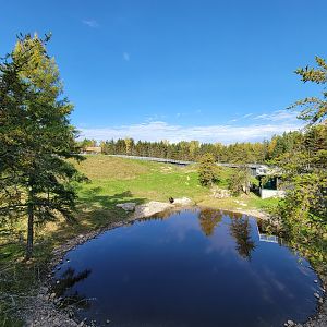 Zoo Sauvage 10/22 - Rocky Mountains, brown bear and bobcat exhibit