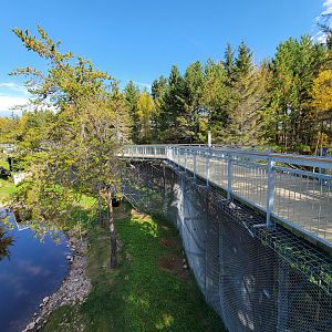 Zoo Sauvage 10/22 - Rocky Mountains, brown bear and bobcat exhibit