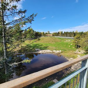 Zoo Sauvage 10/22 - Rocky Mountains, brown bear and bobcat exhibit