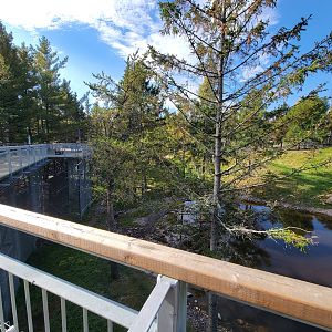 Zoo Sauvage 10/22 - Rocky Mountains, brown bear and bobcat exhibit