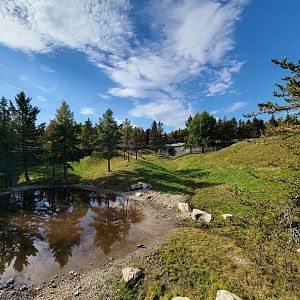 Zoo Sauvage 10/22 - Rocky Mountains, brown bear and bobcat exhibit