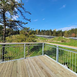 Zoo Sauvage 10/22 - Rocky Mountains, brown bear and bobcat exhibit