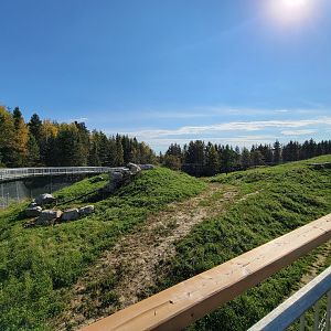 Zoo Sauvage 10/22 - Rocky Mountains, brown bear and bobcat exhibit