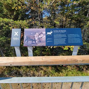 Zoo Sauvage 10/22 - Rocky Mountains, Dawson's Caribou extinction sign