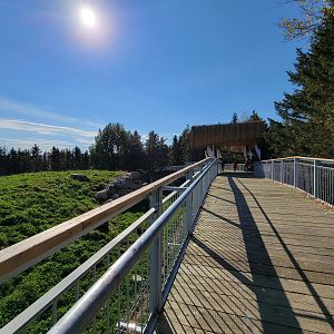Zoo Sauvage 10/22 - Rocky Mountains, boardwalk around brown bear and bobcat exhibit
