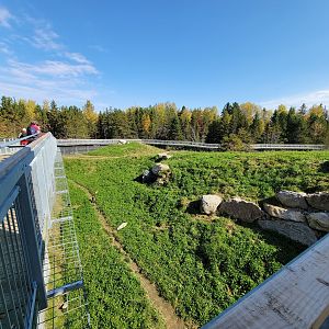 Zoo Sauvage 10/22 - Rocky Mountains, brown bear and bobcat exhibit