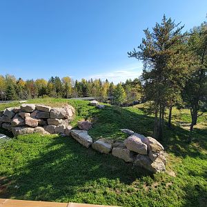 Zoo Sauvage 10/22 - Rocky Mountains, brown bear and bobcat exhibit