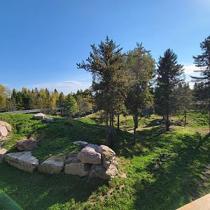 Zoo Sauvage 10/22 - Rocky Mountains, brown bear and bobcat exhibit