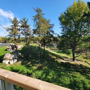 Zoo Sauvage 10/22 - Rocky Mountains, brown bear and bobcat exhibit