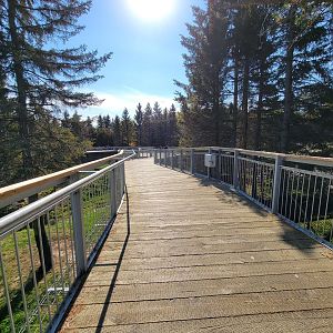 Zoo Sauvage 10/22 - Rocky Mountains, boardwalk