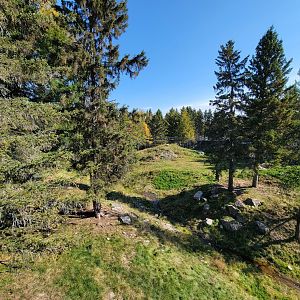 Zoo Sauvage 10/22 - Rocky Mountains, brown bear and bobcat exhibit