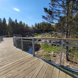 Zoo Sauvage 10/22 - Rocky Mountains, mountain goat exhibit