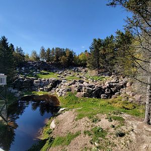 Zoo Sauvage 10/22 - Rocky Mountains, mountain goat exhibit