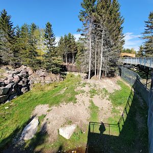 Zoo Sauvage 10/22 - Rocky Mountains, mountain goat exhibit