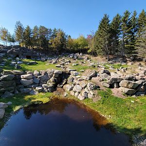 Zoo Sauvage 10/22 - Rocky Mountains, mountain goat exhibit