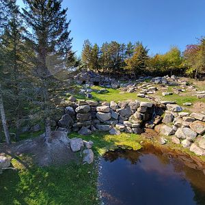 Zoo Sauvage 10/22 - Rocky Mountains, mountain goat exhibit