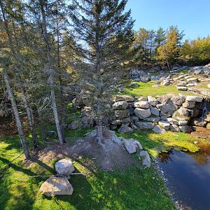 Zoo Sauvage 10/22 - Rocky Mountains, mountain goat exhibit