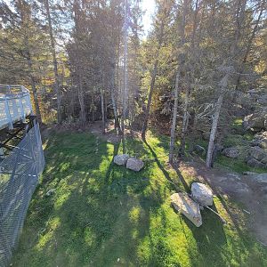 Zoo Sauvage 10/22 - Rocky Mountains, mountain goat exhibit