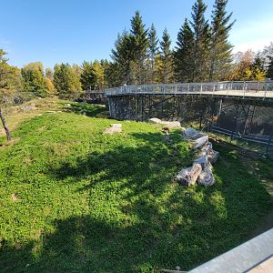 Zoo Sauvage 10/22 - Rocky Mountains, brown bear and bobcat exhibit