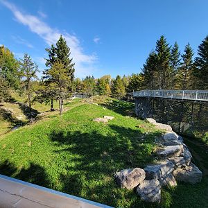 Zoo Sauvage 10/22 - Rocky Mountains, brown bear and bobcat exhibit