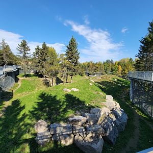 Zoo Sauvage 10/22 - Rocky Mountains, brown bear and bobcat exhibit