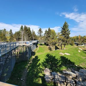 Zoo Sauvage 10/22 - Rocky Mountains, brown bear and bobcat exhibit