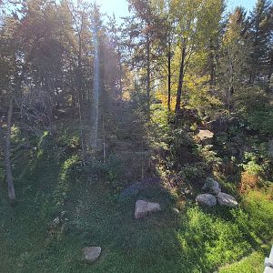 Zoo Sauvage 10/22 - Rocky Mountains, Canada lynx exhibit