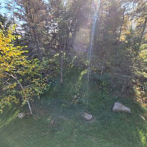 Zoo Sauvage 10/22 - Rocky Mountains, Canada lynx exhibit