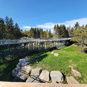 Zoo Sauvage 10/22 - Rocky Mountains, brown bear and bobcat exhibit, mountain goat exhibit visible behind fence under boardwalk