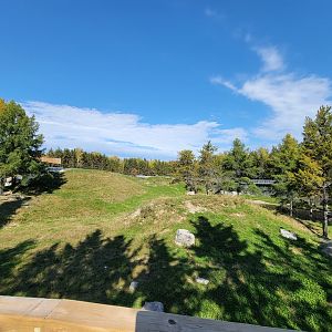 Zoo Sauvage 10/22 - Rocky Mountains, brown bear and bobcat exhibit