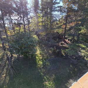 Zoo Sauvage 10/22 - Rocky Mountains, coyote exhibit