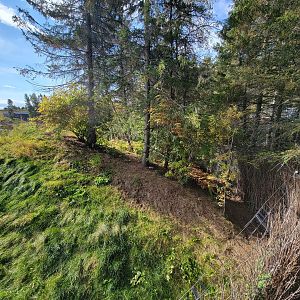 Zoo Sauvage 10/22 - Rocky Mountains, coyote exhibit