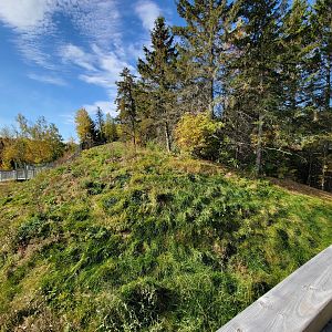 Zoo Sauvage 10/22 - Rocky Mountains, coyote exhibit