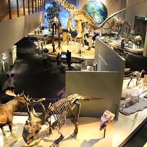 View From The Stairs