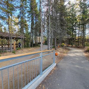 Zoo Sauvage 10/22 - Path to train