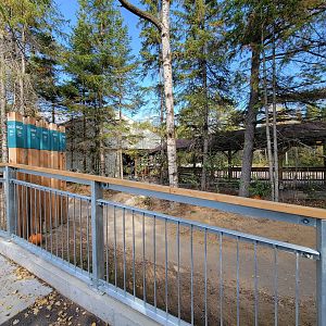 Zoo Sauvage 10/22 - Train station