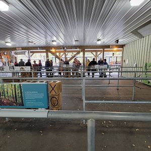 Zoo Sauvage 10/22 - Train station queue