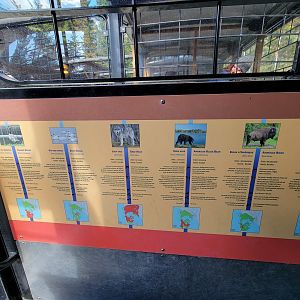Zoo Sauvage 10/22 - Train, info on some of the species in front of each seating row