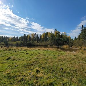 Zoo Sauvage 10/22 - Train, pond