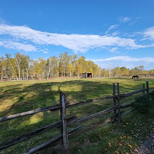 Zoo Sauvage 10/22 - Train, horse paddock in settlement #1