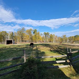 Zoo Sauvage 10/22 - Train, horse paddock in settlement #1