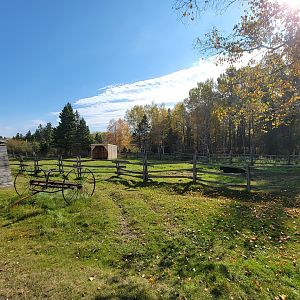 Zoo Sauvage 10/22 - Train, cow in settlement #1