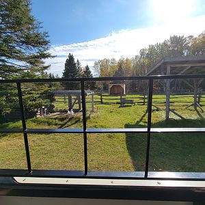 Zoo Sauvage 10/22 - Train, chickens in settlement #1