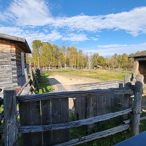 Zoo Sauvage 10/22 - Train, empty paddock in settlement #1