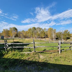 Zoo Sauvage 10/22 - Train, empty paddock in settlement #1