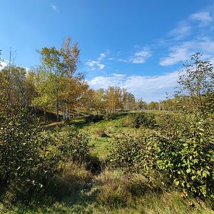 Zoo Sauvage 10/22 - Train, scenery