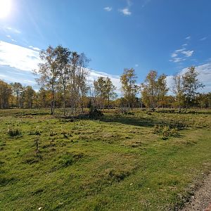 Zoo Sauvage 10/22 - Train, scenery and whitetail deer